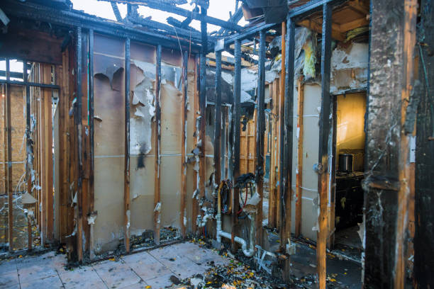 Professional Odor Removal technician working in Ina, IL